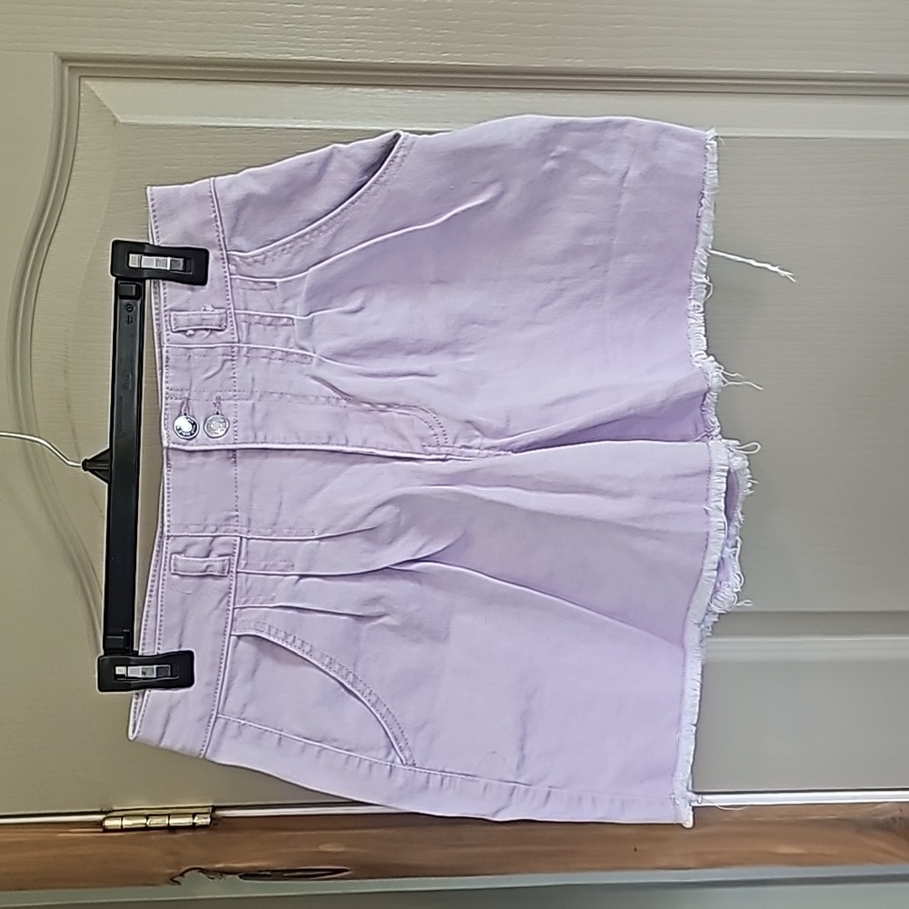 Wild Fable Highest Rise A-Line Pleated Shorts. Light Purple. Size 10